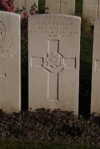 Coxyde Military Cemetery - Cattle, H I