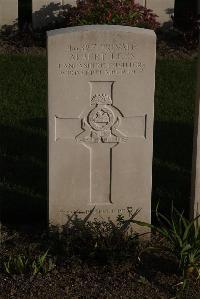 Coxyde Military Cemetery - Lees, Albert