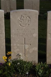 Coxyde Military Cemetery - Taylor, P