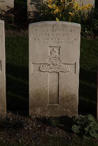 Coxyde Military Cemetery - Taylor, William Maddox