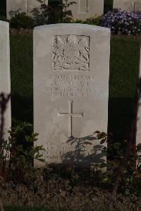 Coxyde Military Cemetery - Wallace, Alexander