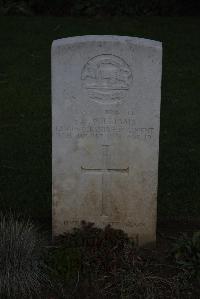 Englebelmer Communal Cemetery Extension - Williams, Eric John