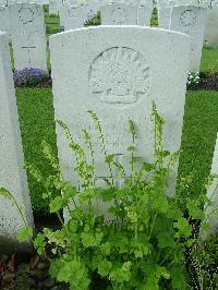 Ypres Reservoir Cemetery - Adams, Robert