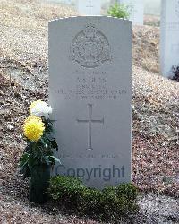 Stanley Military Cemetery - Bliss, Arthur Sidney