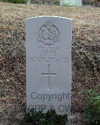 Stanley Military Cemetery - Bone, Adam