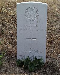 Stanley Military Cemetery - Carter, Reginald