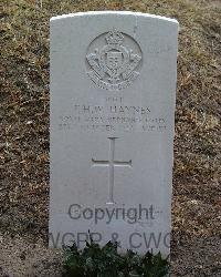 Stanley Military Cemetery - Haynes, Frank Henry William