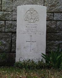 Stanley Military Cemetery - Reed, Francis Oswald