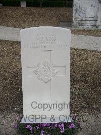 Stanley Military Cemetery - Ross, William James