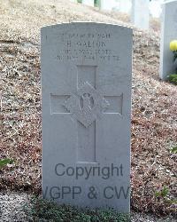 Stanley Military Cemetery - Walton, Hugh