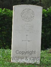 Stanley Military Cemetery - Wood, Arthur Frank