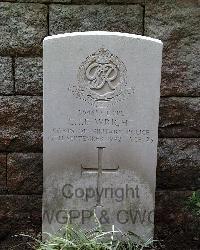 Stanley Military Cemetery - Wright, Charles John Frederick