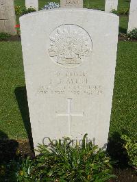 Cairo War Memorial Cemetery - Ayliff, Fred Butler