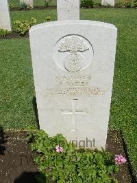 Cairo War Memorial Cemetery - Bailey, David