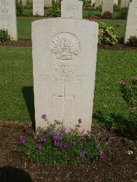 Cairo War Memorial Cemetery - Beck, Daniel