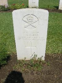 Cairo War Memorial Cemetery - Bingham, F