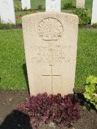 Cairo War Memorial Cemetery - Colbert, W M