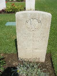 Cairo War Memorial Cemetery - Collins, Andrew P.