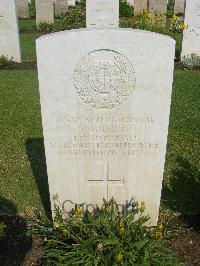 Cairo War Memorial Cemetery - Gilbert, David