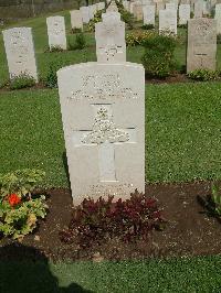 Cairo War Memorial Cemetery - Gray, W C