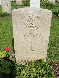 Cairo War Memorial Cemetery - Harrington, F