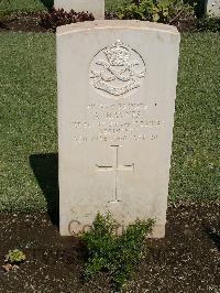 Cairo War Memorial Cemetery - Haynes, Arthur