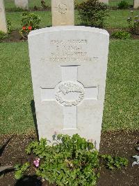 Cairo War Memorial Cemetery - Kingi, Ike