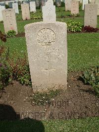 Cairo War Memorial Cemetery - McGinty, William Anthony