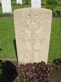 Cairo War Memorial Cemetery - Mears, Archibald