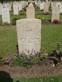 Cairo War Memorial Cemetery - Newman, G