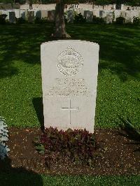 Cairo War Memorial Cemetery - Nicholls, Samuel George