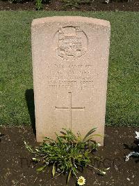 Cairo War Memorial Cemetery - Palmer, F G