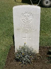 Cairo War Memorial Cemetery - Robins, F