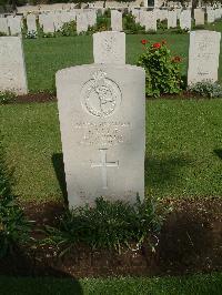 Cairo War Memorial Cemetery - Royle, Frederick