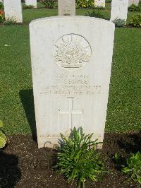 Cairo War Memorial Cemetery - Semple, William