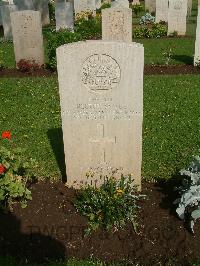 Cairo War Memorial Cemetery - Small, Hector