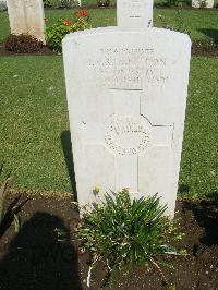 Cairo War Memorial Cemetery - Southon, Ilex Vernon Rex