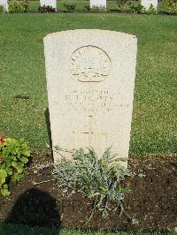 Cairo War Memorial Cemetery - Tierney, M J