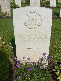 Cairo War Memorial Cemetery - Ward-Proctor, James Dudley