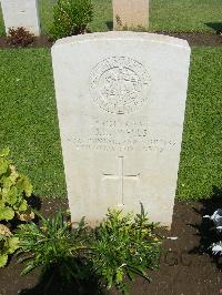 Cairo War Memorial Cemetery - Wells, John Henry