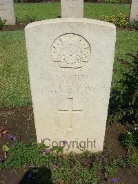 Cairo War Memorial Cemetery - White, Sydney