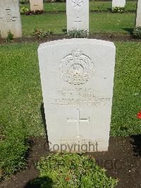 Cairo War Memorial Cemetery - White, William Charles