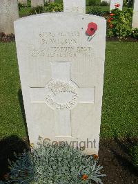 Cairo War Memorial Cemetery - Wilson, Peter