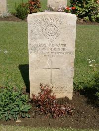 Cairo War Memorial Cemetery - Windridge, Thomas