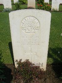 Cairo War Memorial Cemetery - Wyld, Daniel