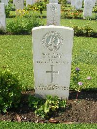 Heliopolis War Cemetery - Arendse, Daniel