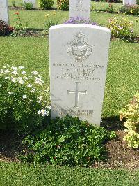 Heliopolis War Cemetery - Buckley, John William