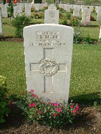 Heliopolis War Cemetery - Buckle, Allan Benjamin