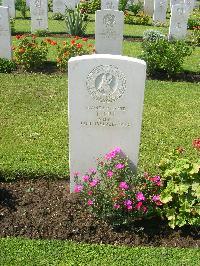 Heliopolis War Cemetery - Cili, T