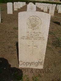 Heliopolis War Cemetery - Fagan, Patrick